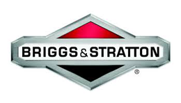 ecommerce website design briggs and stratton thumbnail by acs web design and seo