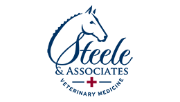 medical website design steele and associates thumbnail by acs web design and seo
